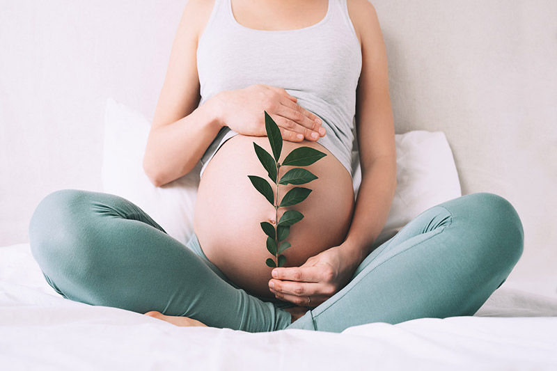 میزان مصرف داروی گیاهی در بارداری